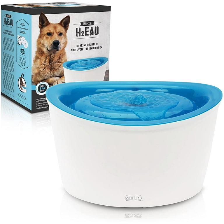 Large cat water fountain store