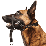 Zevey Adjustable Dog Head Halter with Safety Strap, Soft Padded Dog Head Collar for Small Medium Large Dogs, No-Pull Dog Harness for Training and Walking (Large, Black)