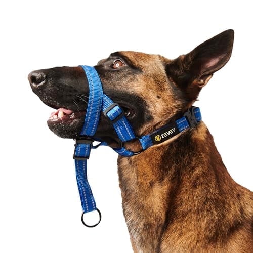 Zevey Adjustable Dog Head Halter with Safety Strap, Soft Padded Dog Head Collar for Small Medium Large Dogs, No-Pull Dog Harness for Training and Walking (Large, Blue)