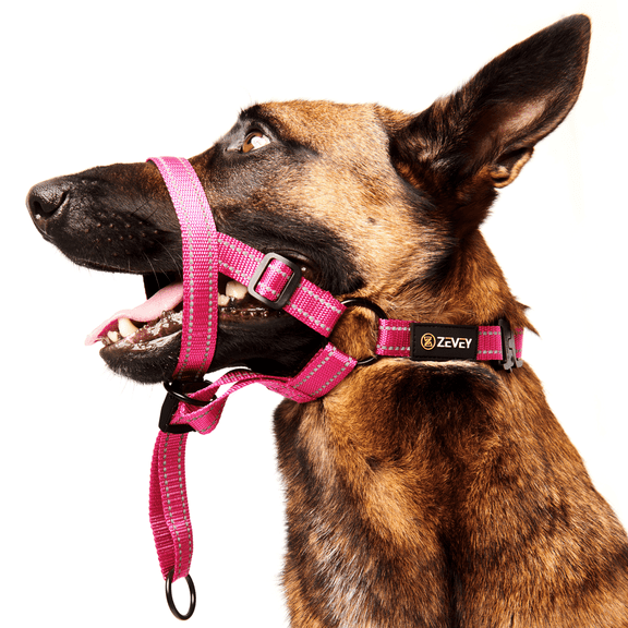 Zevey Adjustable Dog Head Halter with Safety Strap, Soft Padded Dog Head Collar for Small Medium Large Dogs, No-Pull Dog Harness for Training and Walking (Large, Pink)