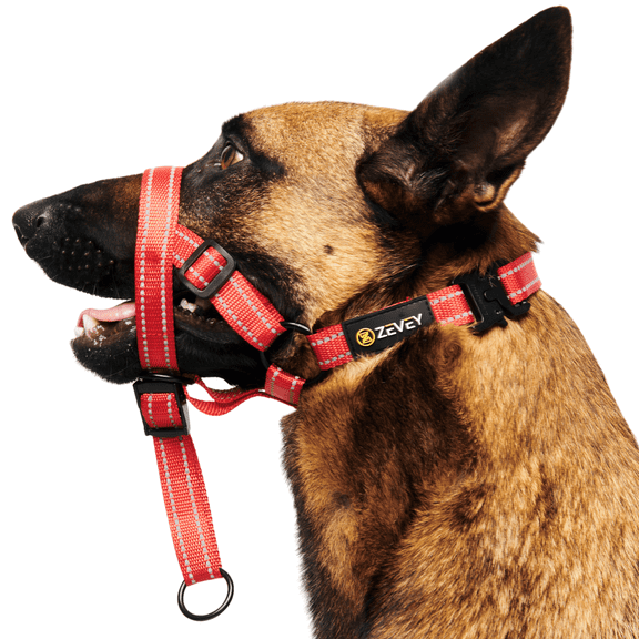 Zevey Adjustable Dog Head Halter with Safety Strap, Soft Padded Dog Head Collar for Small Medium Large Dogs, No-Pull Dog Harness for Training and Walking (Large, Red)