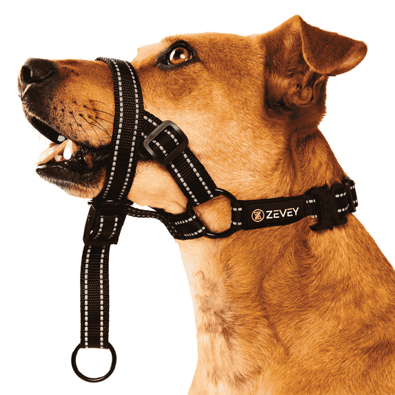 Zevey Adjustable Dog Head Halter with Safety Strap, Soft Padded Dog Head Collar for Small Medium Large Dogs, No-Pull Dog Harness for Training and Walking (Medium, Black)