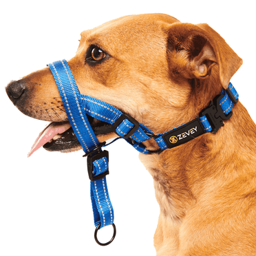 Zevey Adjustable Dog Head Halter with Safety Strap, Soft Padded Dog Head Collar for Small Medium Large Dogs, No-Pull Dog Harness for Training and Walking (Medium, Blue)