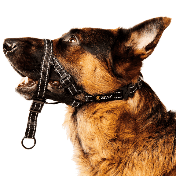 Zevey Adjustable Dog Head Halter with Safety Strap, Soft Padded Dog Head Collar for Small Medium Large Dogs, No-Pull Dog Harness for Training and Walking (X-Large, Black)