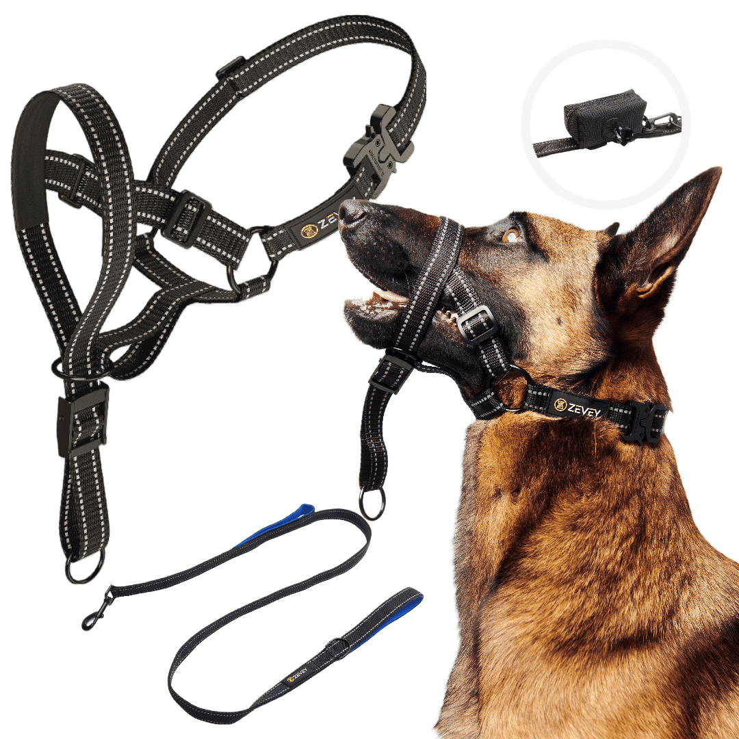 head halter