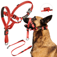 thumbnail image 1 of Zevey Dog Headcollar With Leash And Safety Strap Stops Heavy Pulling On The Leash Padded Reflective Head Halter For Small Medium Large Dogs Adjustable Head Harness For Training And Walking, (L, RED), 1 of 6