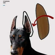 Zexumo Dog Ear Stand Fixed Support Correction Vertical Tool for Doberman Pinscher Dog Samoyed Great Dane
