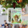 thumbnail image 1 of Zguuel Glowing Christmas Money Holder Ornament, 2D Acrylic Light Up Wallet Decor, Illuminated Cash Tree Decoration Gift for Creative Holiday Gifting Xmas, 1 of 7