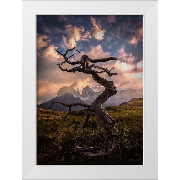 Zhang, Dennis 11x14 White Modern Wood Framed Museum Art Print Titled - Dead Tree