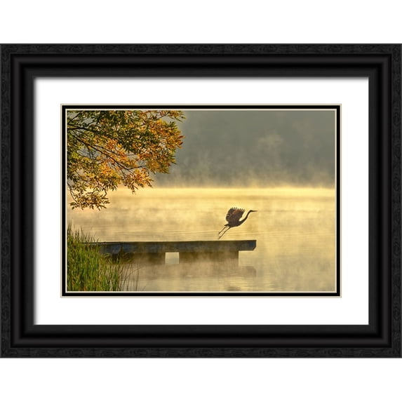 Zhang, Eric 24x18 Black Ornate Wood Framed with Double Matting Museum Art Print Titled - Morning flight