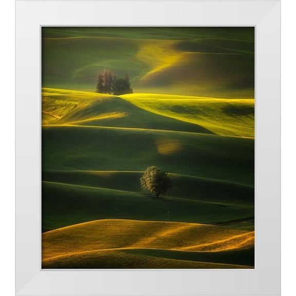 Zhang, Joan 12x13 White Modern Wood Framed Museum Art Print Titled - Golden Hours Of The Palouse