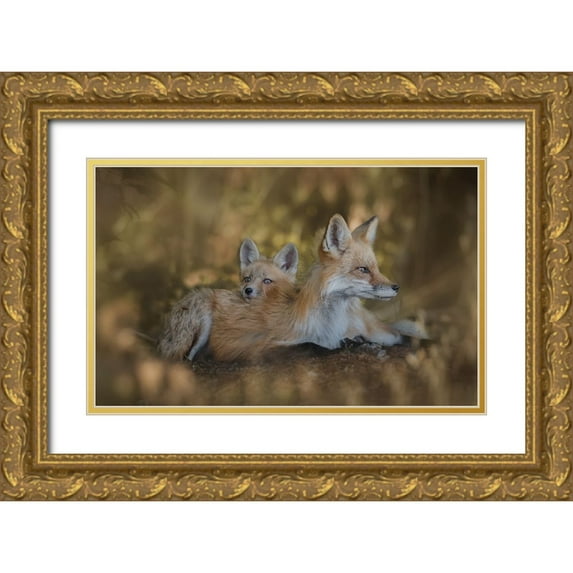 Zhang, Ling 24x17 Gold Ornate Wood Framed with Double Matting Museum Art Print Titled - Mom Pillow