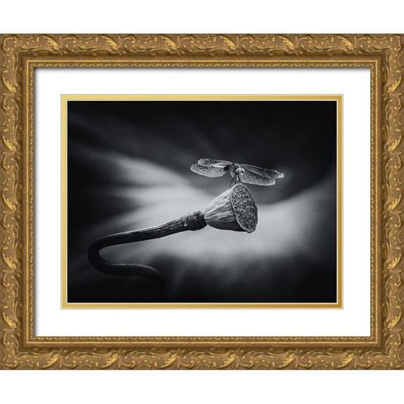 Zhang, Xiaohong 14x12 Gold Ornate Wood Framed with Double Matting Museum Art Print Titled - Summer Joy