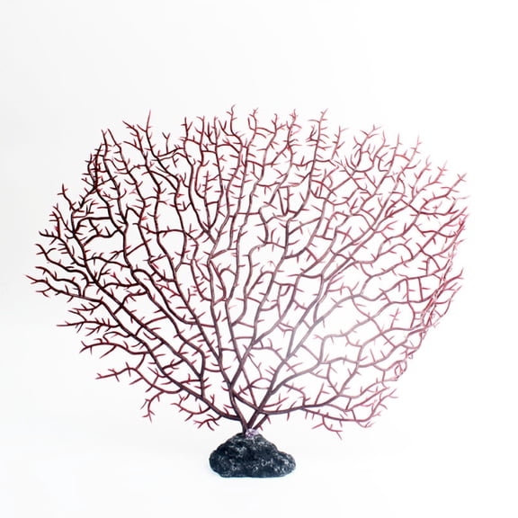 ZhangC Natural Sea Fan Coral, Coastal Decor & Craft Supply, Perfect for Beach and Coastal Home Decor, Wall Displays, Framing, Weddings and DIY Crafts, 10.6"x11.8"