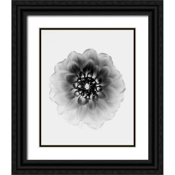 Zhao, Alex 12x14 Black Ornate Wood Framed with Double Matting Museum Art Print Titled - X-Ray
