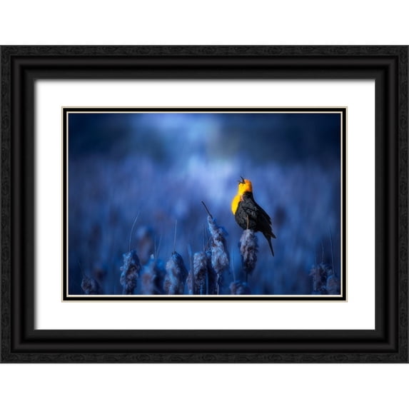 Zhao, Alex 24x17 Black Ornate Wood Framed with Double Matting Museum Art Print Titled - Sing A Song
