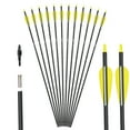 thumbnail image 1 of Zhao.Fu New Carbon Archery Arrows, 12 Pieces, 1 of 4