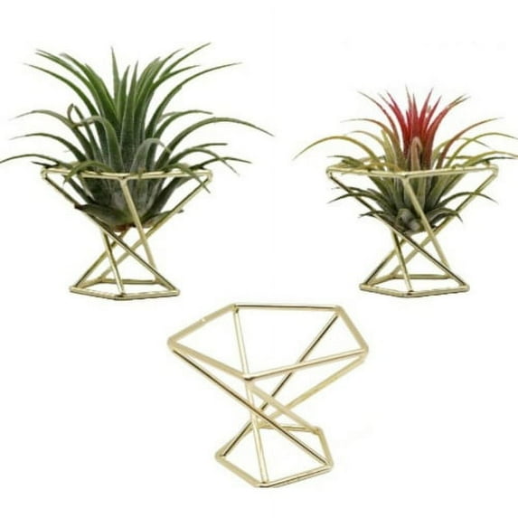 Zhaomeidaxi 3Pcs Geometric Air Plant Holder Rack Metal Plants Stand Planter Shelves Living Decor Pot Containers Modern Classic