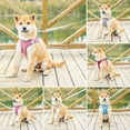 thumbnail image 1 of Zhaomeidaxi Cat Harnesses and Puppy Harness with Leashes Set, Escape Proof Cat Harness, Adjustable Reflective Soft Mesh Vest Fit Puppy Kitten Rabbit Ferretss Outdoor Harness, 1 of 9