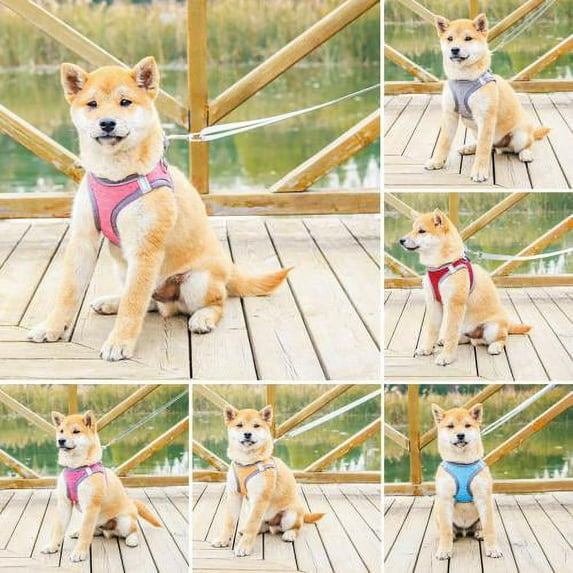 Zhaomeidaxi Cat Harnesses and Puppy Harness with Leashes Set, Escape Proof Cat Harness, Adjustable Reflective Soft Mesh Vest Fit Puppy Kitten Rabbit Ferretss Outdoor Harness