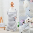 thumbnail image 1 of Zhaomeidaxi Dog Diaper Striped Sanitary Pantie with Adjustable Suspender Washable Reusable Puppy Sanitary Panties Cute Pet Underwear Diaper Jumpsuits for Female Dogs, 1 of 8