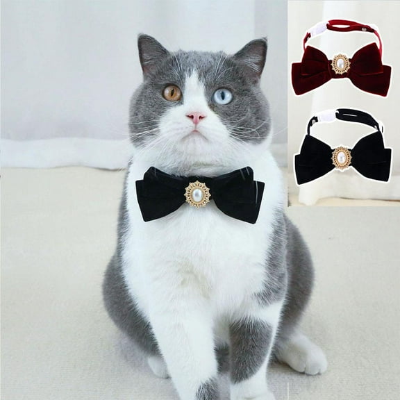 Zhaomeidaxi Dog Pearl Collars and Pet Pearl Necklace Dog Leather Pearl Collar Cat Pearl Neck Strap for Dogs Cats Puppy Kitten