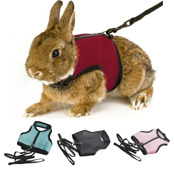 Zhaomeidaxi Guinea Pig Harness and Leash Ferret Rats Hamster Soft Mesh Harness Leash Vest Set for Small Pet Rabbit Iguana Squirrel Chinchilla