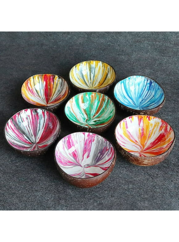 Zhaomeidaxi Hand-painted Coconut Shell Candy Bowl Compact Exquisite Smooth Childrens Natural Bowl