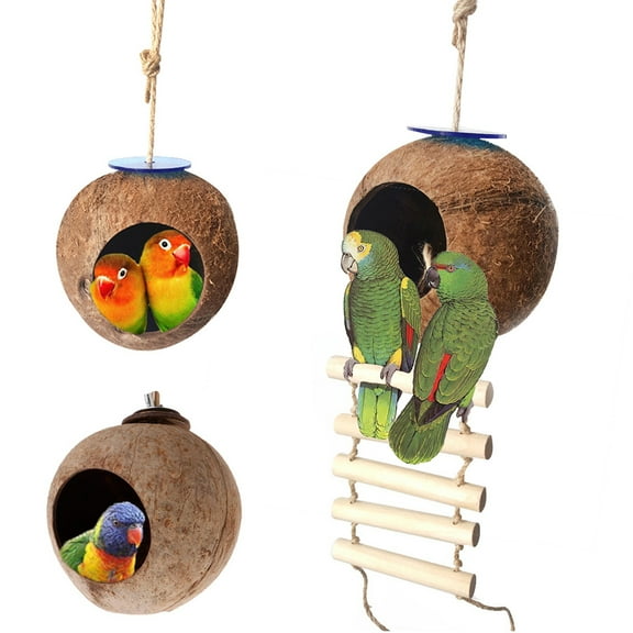 Zhaomeidaxi Hanging Coconut Bird House with Ladder,Natural Coconut Fiber Shell Bird Nest for Parrot Parakeet Lovebird Finch Canary,Coconut Hide Bird Swing Toys