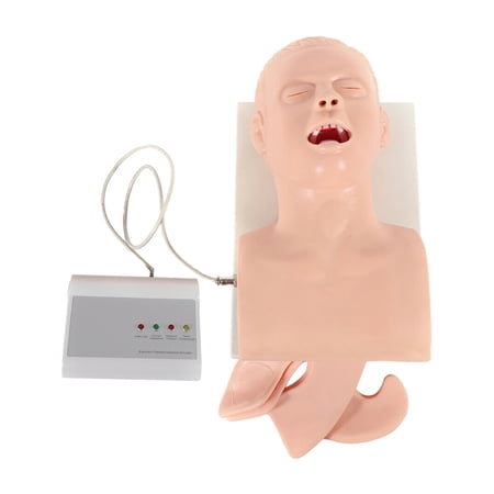 ZhdnBhnos Airway Management Trainer Study Adult Oral Intubation Manikin Teaching Model with Electronic Monitor