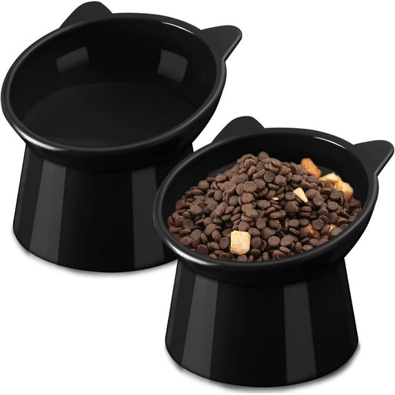 Zhehao 2 Pieces Plastic Raised Bowl Tilted 15 Degrees Elevated Cat Food and Water Bowls Set Anti Vomit Dog Kitten Food Dishes Pet for Cats and Small Dogs (Black)