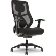 Zhejiang Hengyu Plastic Technology Co Ltd Beautyrest Duo-EX Mesh Seat Height Adjustment Swivel Desk Chair, Black/Gray