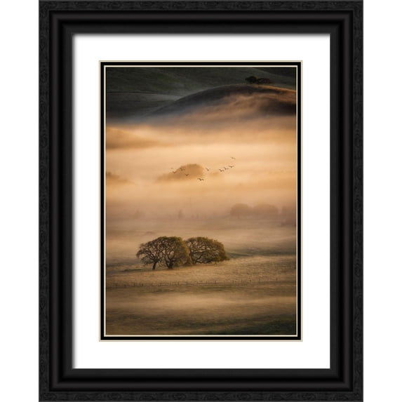 Zheng, Michael 14x18 Black Ornate Wood Framed with Double Matting Museum Art Print Titled - Morning Fog