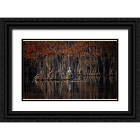 Zheng, Michael 18x13 Black Ornate Wood Framed with Double Matting Museum Art Print Titled - Tranquil Lake