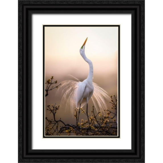 Zheng, Michael 23x32 Black Ornate Wood Framed with Double Matting Museum Art Print Titled - Solo Dance