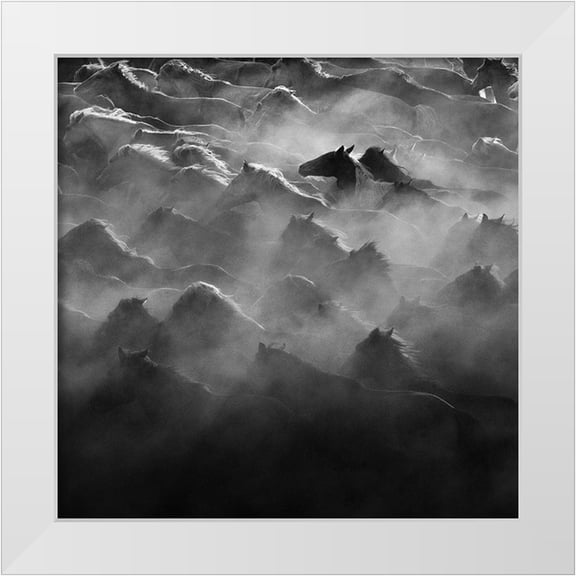 Zheng, Na Anna 12x12 White Modern Wood Framed Museum Art Print Titled - Leader