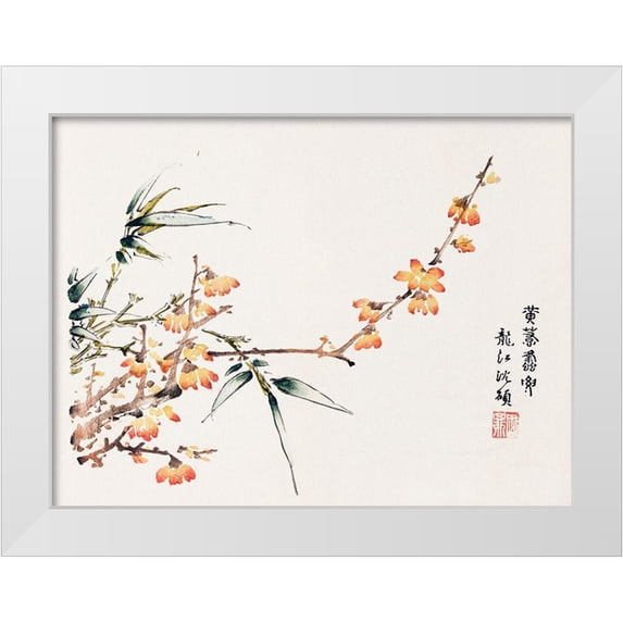 Zhengyan, Hu 32x25 White Modern Wood Framed Museum Art Print Titled - Page from Shi Zhu Zhai Orange Blossoms