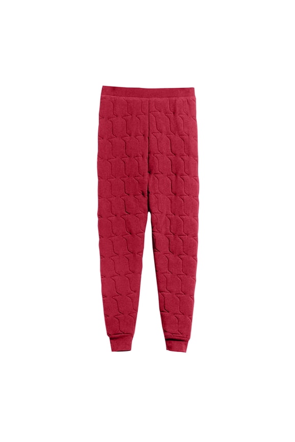 Women's Sherpa Lined Pants Solid Color Comfort Skin Friendly Warm Inner Lining Cotton Pants Slim Cold Proof Leggings