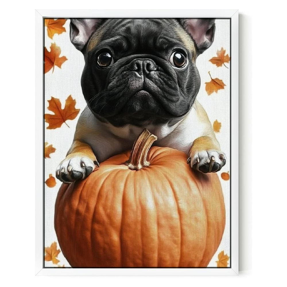 Orange bulldog pumpkin best sale