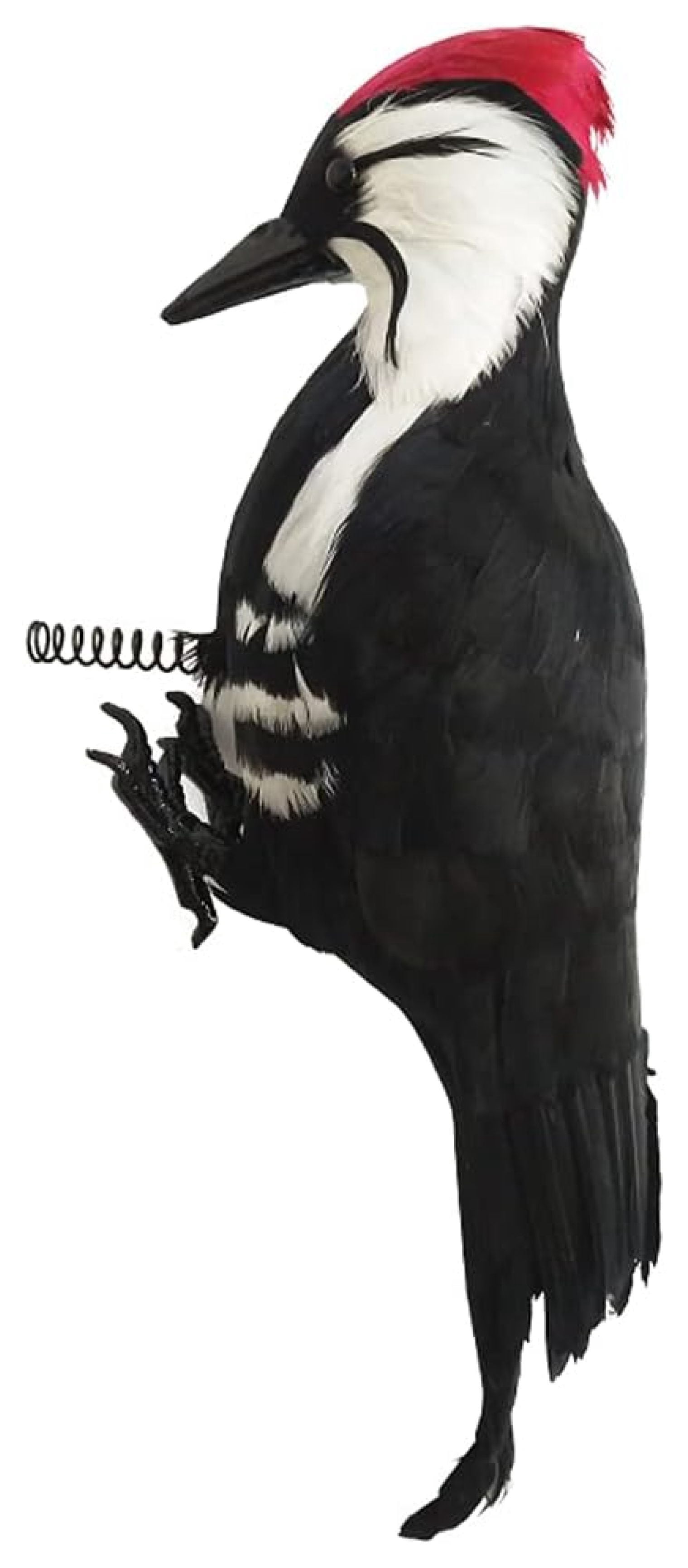 Zhongpeng 17 inch Woodpecker Effigy Lifelike Woodpecker Let The
