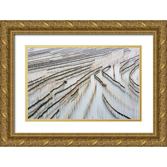 Zhou, Xinhua 32x22 Gold Ornate Wood Framed with Double Matting Museum Art Print Titled - Harvesting Kelp
