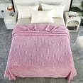 thumbnail image 1 of Zhourta 60x40 Inch Plush Fleece Blanket Ultra Soft Lightweight Cozy Throw for Nap Lounge Sofa Bed Office Travel Home Decor Warm Comfortable Decorative Accent, 1 of 6