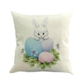 thumbnail image 1 of Zhourta Easter Pillow Covers Spring Easter Throw Pillow Covers Easter Bunny Eggs Cushion Covers Pillow Cases for Home Outdoor Sofa Couch Decoration 18x18Inch, 1 of 1