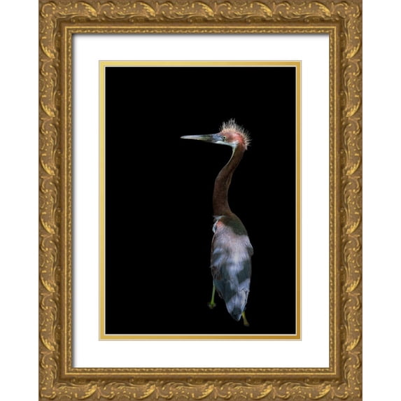 Zhu, Eddie 18x24 Gold Ornate Wood Framed with Double Matting Museum Art Print Titled - Bad Haired Day