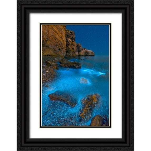 Zhu, Hua 13x18 Black Ornate Wood Framed with Double Matting Museum Art Print Titled - Bioluminescent Bay