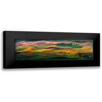 Zhu, Hua 14x7 Black Modern Framed Museum Art Print Titled - The Palouse