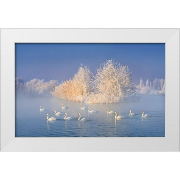 Zhu, Hua 18x13 White Modern Wood Framed Museum Art Print Titled - Swan Lake