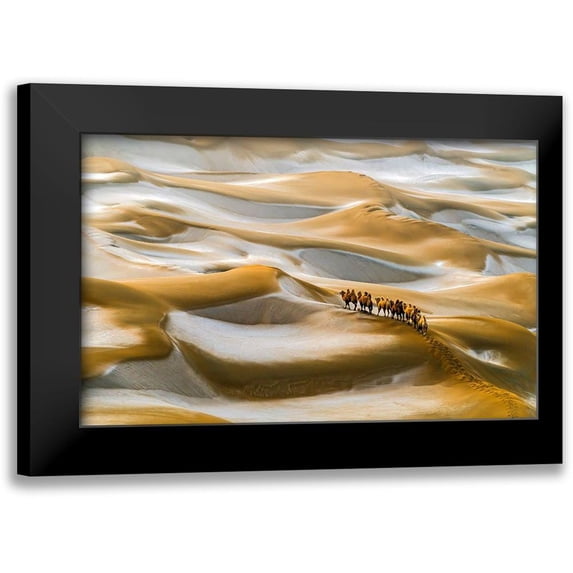 Zhu, Hua 24x17 Black Modern Framed Museum Art Print Titled - Desert Winter