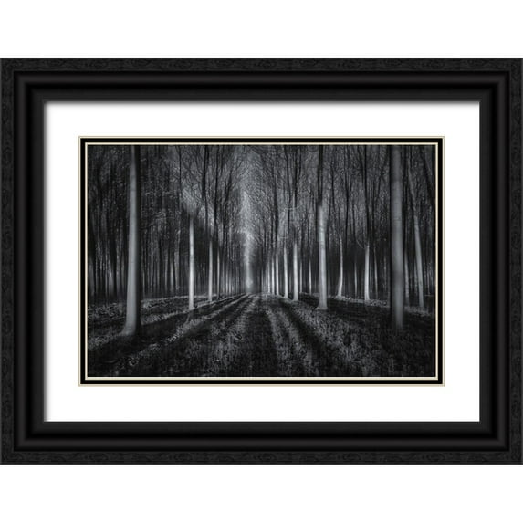 Zhu, Jingshu 18x13 Black Ornate Wood Framed with Double Matting Museum Art Print Titled - Into The Forest