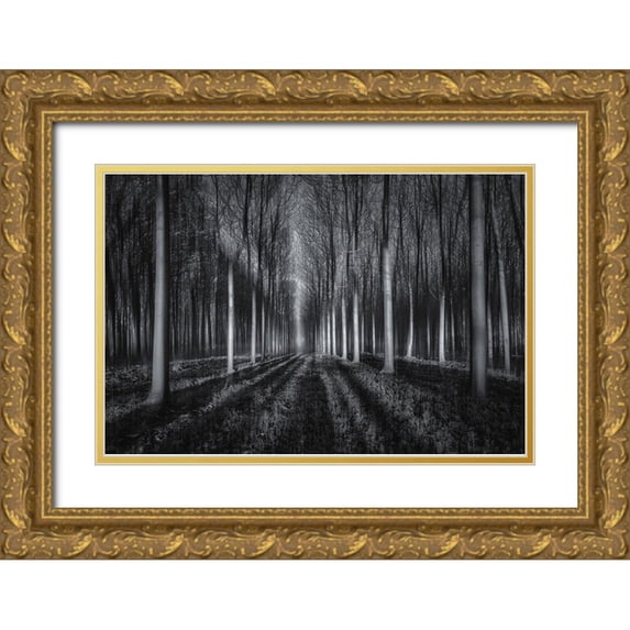 Zhu, Jingshu 24x17 Gold Ornate Wood Framed with Double Matting Museum Art Print Titled - Into The Forest